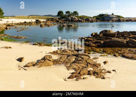 Plage au coucher du soleil dans le parc naturel de Carreirón dans l'île d'Arousa avec la pinède Banque D'Images