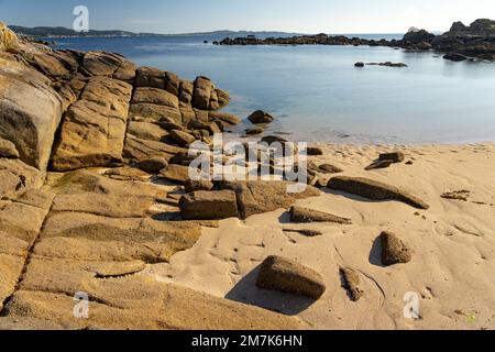 Plage au coucher du soleil dans le parc naturel de Carreirón dans l'île d'Arousa avec la pinède Banque D'Images