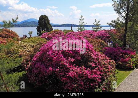 STRESA, ITALIE - 11 MAI 2018 : c'est l'une des ruelles fleuries du palais Borromeo et du parc d'Isola Bella sur le lac Lago Maggiore. Banque D'Images