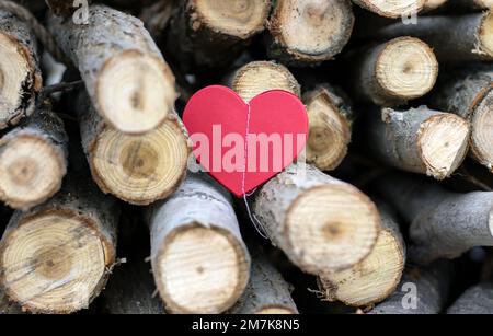 papier coeur rouge guirlande en femme filles mains planche en bois table, bleu clair métal ou verre de champagne Banque D'Images