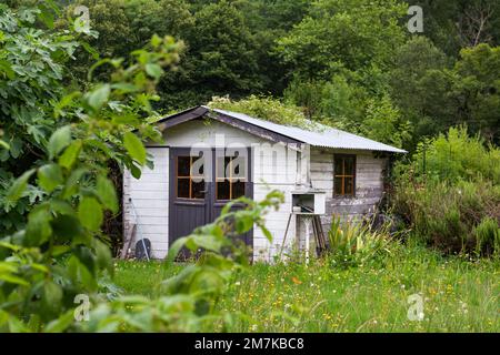 Ancienne cabane de jardin avec forêt verte en arrière-plan dans les Pyrénées, France Banque D'Images