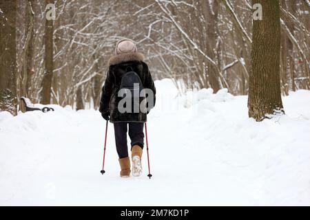 Femme avec des bâtons marche dans le parc d'hiver sur fond d'arbres couverts de neige. Marche nordique par temps froid, mode de vie sain Banque D'Images