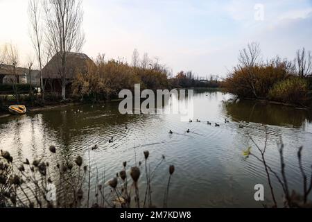 Une vue générale de l'expérience du delta au parc à thème Oltremare sur 31 décembre 2022 à Riccione, Italie (photo d'Alessandro Bremec/NurPhoto)0 Banque D'Images
