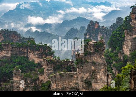 Parc forestier de Zhangjiajie. Vue panoramique sur le canyon rocheux en quinconce. Vue imprenable sur la montagne des falaises décalées, des arbres et des nuages de vapeur. Banque D'Images