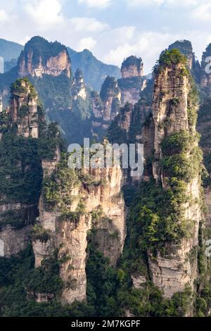 Parc forestier de Zhangjiajie. Paysage majestueux de rochers uniques de piliers de forme étrange, vallées cachées. Vue panoramique sur la vallée des montagnes Avatar. Banque D'Images