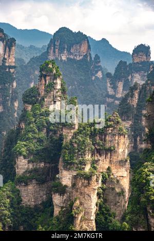 Parc forestier de Zhangjiajie. Pierres de piliers de forme étrange, vallées cachées. Paysage majestueux de la vallée de la montagne Avatar. Banque D'Images