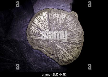 Roches et minéraux, minerai de fer de pyrite de Marcassite, échantillon de laboratoire Banque D'Images