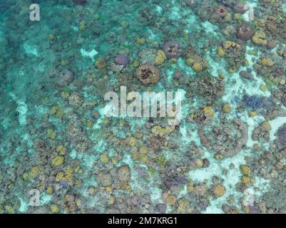 Vu de l'air, un récif de corail sain prospère dans les îles Salomon. Ce beau pays abrite une biodiversité marine spectaculaire. Banque D'Images