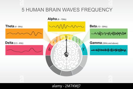 Courbes cérébrales tension électrique oscillant Delta, Thêta, Alpha, Beta, diagramme d'illustration de vecteur gamma, étude d'activité des neurones cérébraux Illustration de Vecteur