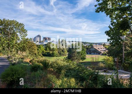 Issy-les-Moulineaux (région de Paris) : parc de l'Ile Saint-Germain, un parc sur une îlot de la Seine. Parc avec des bâtiments en arrière-plan. Banque D'Images