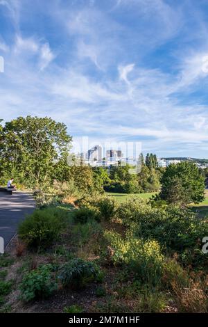 Issy-les-Moulineaux (région de Paris) : parc de l'Ile Saint-Germain, un parc sur une îlot de la Seine. Parc avec des bâtiments en arrière-plan. Banque D'Images