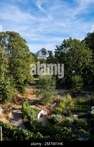 Issy-les-Moulineaux (région de Paris) : parc de l'Ile Saint-Germain, un parc sur une îlot de la Seine. Parc avec des bâtiments en arrière-plan. Banque D'Images
