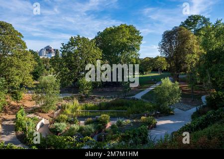 Issy-les-Moulineaux (région de Paris) : parc de l'Ile Saint-Germain, un parc sur une îlot de la Seine. Parc avec des bâtiments en arrière-plan. Banque D'Images