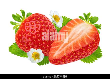 Fraise avec feuilles et fleurs isolées sur fond blanc Banque D'Images