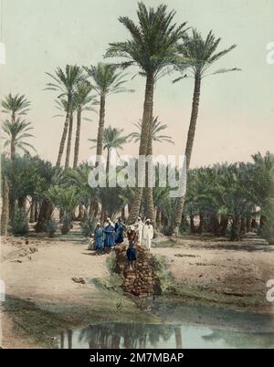 Wilhelm Hammerschmidt studio: Vintage 19th c. photo - palmiers dattiers, route vers les pyramides, le Caire, Egypte Banque D'Images