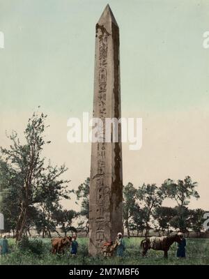 Wilhelm Hammerschmidt studio: Vintage 19th c. photo - obélisque Heliopolis, Egypte Banque D'Images