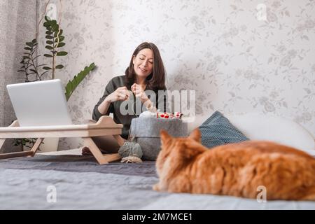 Ginger Cat regarde comment la femme fait du crocheting tout en regardant un film sur un ordinateur portable. Apprenez à coudre à partir de leçons vidéo sur Internet. Maison confortable et passe-temps anti stress Banque D'Images