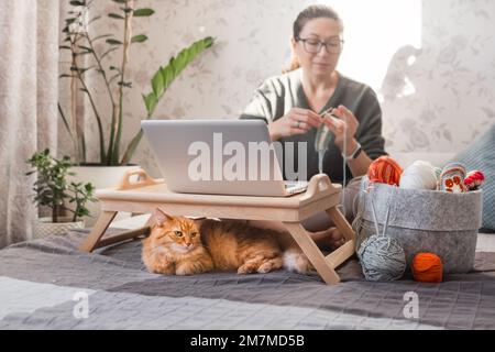 Ginger Cat regarde comment la femme fait du crocheting tout en regardant un film sur un ordinateur portable. Apprenez à coudre à partir de leçons vidéo sur Internet. Maison confortable et passe-temps anti stress Banque D'Images
