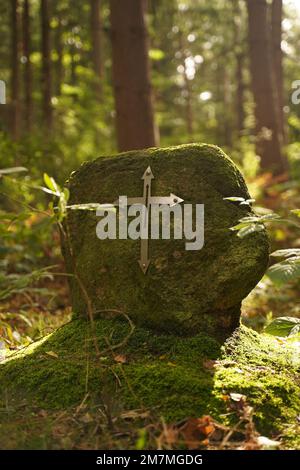 La pierre surcultivée avec de la mousse dans la forêt avec des flèches de fer des directions Banque D'Images