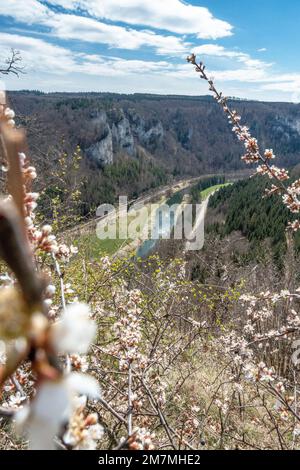 Europe, Allemagne, Sud de l'Allemagne, Bade-Wurtemberg, vallée du Danube, Sigmaringen, Beuron, vue du point de vue de Rauher Stein dans la vallée du Danube Banque D'Images