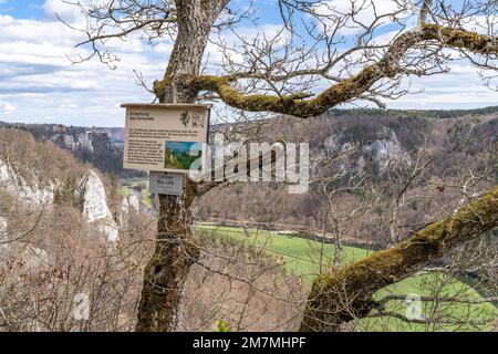 Europe, Allemagne, Sud de l'Allemagne, Bade-Wurtemberg, vallée du Danube, Sigmaringen, Beuron, vue d'Eichfelsen sur la vallée du Danube Banque D'Images