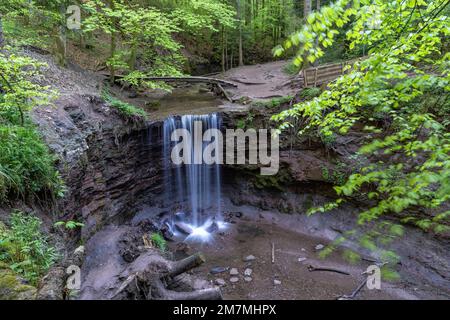 Europe, Allemagne, Sud de l'Allemagne, Bade-Wurtemberg, District de Rems-Murr, Forêt souabe-franconienne, chute d'eau de Hörschbach dans la forêt souabe Banque D'Images