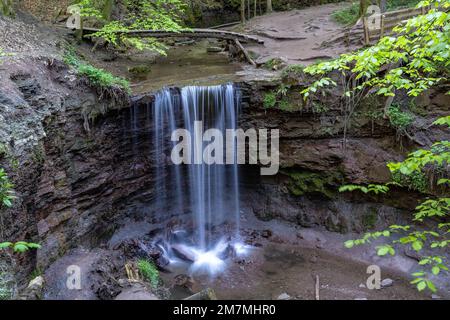 Europe, Allemagne, Sud de l'Allemagne, Bade-Wurtemberg, District de Rems-Murr, Forêt souabe-franconienne, chute d'eau de Hörschbach dans la forêt souabe Banque D'Images