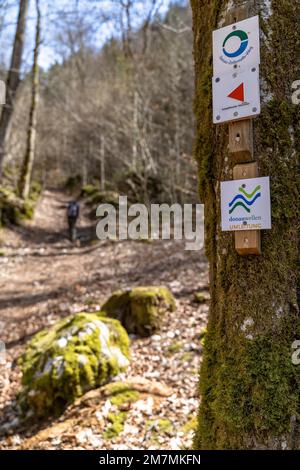 Europe, Allemagne, Sud de l'Allemagne, Bade-Wurtemberg, vallée du Danube, Sigmaringen, Beuron, marquage de sentier sur un arbre avec randonneur en arrière-plan Banque D'Images