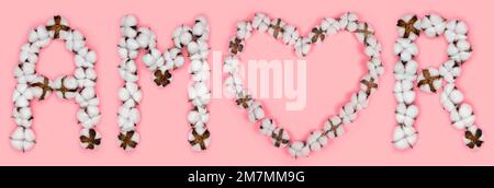 Mot amor de langue espagnole signifie amour, fait de fleurs de coton. Concept d'amour authentique et naturel. Lettre en forme de coeur de coton-tige. Banque D'Images