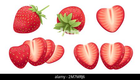 Ensemble de rouge naturel frais fraise douce savoureuse image vectorielle de baies entières et tranchées isolée sur fond blanc Illustration de Vecteur