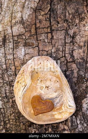 Coeur en bois sur fond de bois Banque D'Images