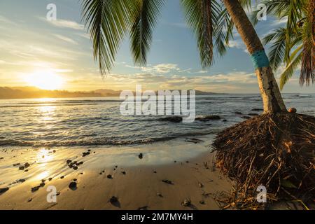 Playa Negra au coucher du soleil, Puerto Viejo de Talamanca, Limon, Caraïbes, Costa Rica, Amérique centrale Banque D'Images