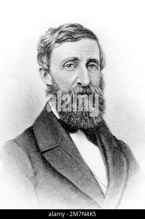 Henry David Thoreau. Portrait du poète et philosophe américain Henry David Thoreau (1817-1862), photo Banque D'Images