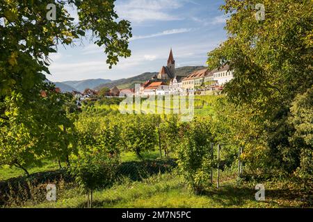 Weißenkirchen in der Wachau, vue sur Weingarten à l'église paroissiale, Wachau, Waldviertel, Basse-Autriche, Autriche Banque D'Images