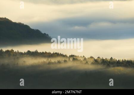 Le brouillard se joue autour des sommets de montagne et des arbres et brille d'or au soleil du matin, Parc naturel de Pfälzerwald, Réserve de biosphère de Pfälzerwald-Nordvogesen, Allemagne, Rhénanie-Palatinat Banque D'Images