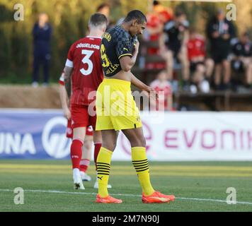 Marbella, Allemagne. 10th janvier 2023. firo : 01/10/2023, football . Football: Test match dans le camp d'entraînement de Marbella BVB, Borussia Dortmund - Fortuna Dusseldorf première affectation pour BVB depuis son cancer.: Sébastien Haller crédit: dpa/Alay Live News Banque D'Images