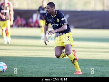 Marbella, Allemagne. 10th janvier 2023. firo : 01/10/2023, football . Football: Test match dans le camp d'entraînement de Marbella BVB, Borussia Dortmund - Fortuna Dusseldorf première mission pour BVB depuis son cancer.: Sébastien Haller crédit: dpa/Alay Live News Banque D'Images