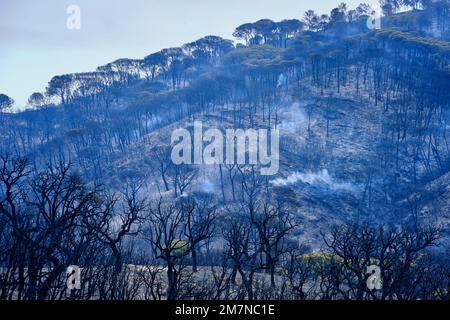 Feux de forêt dans le parc naturel d'Arrabida. Palmela, Portugal Banque D'Images