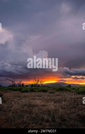 Coucher De Soleil Sur La Savane Du Parc De Tsavo Ouest Au Kenya Photo 