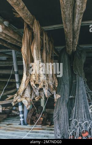 Poissons séchés et filets de pêche, Norvège, Lofoten Banque D'Images