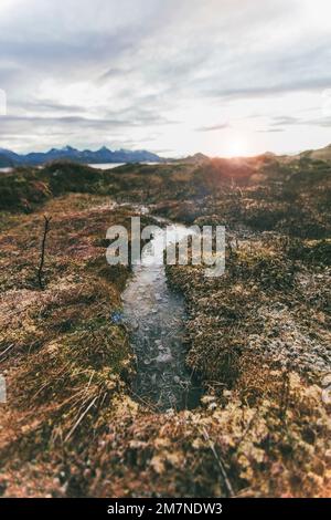 Paysage typique du fjord en automne au coucher du soleil à Vesteralen, Norvège, paysage côtier nordique avec rochers, mer, marais, montagnes et eaux Banque D'Images