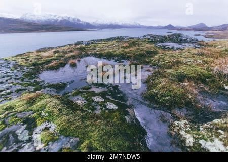 Flaque d'eau dans le paysage du fjord en automne à Vesteralen, Norvège, splendeur des couleurs du paysage côtier nordique avec des rochers, de la mer, de l'eau et de la mousse Banque D'Images