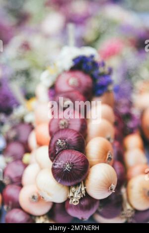 Photo détaillée d'une tresse d'oignon, Zibelemärit traditionnel, marché aux oignons à Berne, Suisse, oignons comestibles (Allium cesp), gros plan, tresse d'oignon Banque D'Images