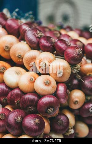 Zibelemärit traditionnel, marché aux oignons à Berne, Suisse, oignons comestibles (Allium cesp), gros plan, tresse aux oignons Banque D'Images