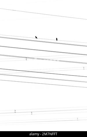 Corneilles, ligne électrique, deux Banque D'Images