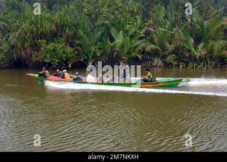 Bateau, rivière Sekonyer, forêt marécageuse, parc national de Tanjung Puting, Kalimantan, île de Bornéo, Indonésie, Asie Banque D'Images