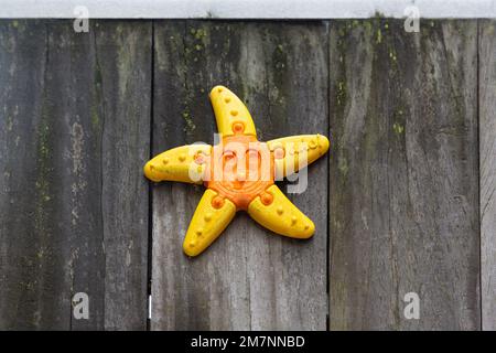 Étoile de mer en plastique jaune et orange avec une face au milieu sur des planches de bois altérées. Banque D'Images