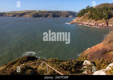 Europe, Royaume-Uni, Angleterre, Devon, près de Kingswear, Vue sur Newfoundland Cove et entrée au port de Dartmouth depuis Inner Froward point Banque D'Images