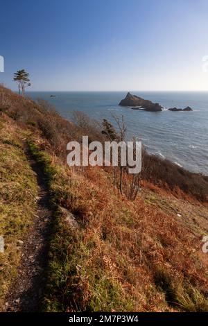 Europe, Royaume-Uni, Angleterre, Devon, près de Kingswear, Vues sur la côte depuis Outer Froward point avec Mew Stone et Shooter Rock Banque D'Images