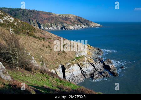 Europe, Royaume-Uni, Angleterre, Devon, près de Kingswear, Vue sur la côte en direction de Scabbacombe Head depuis Ivy Cove Banque D'Images